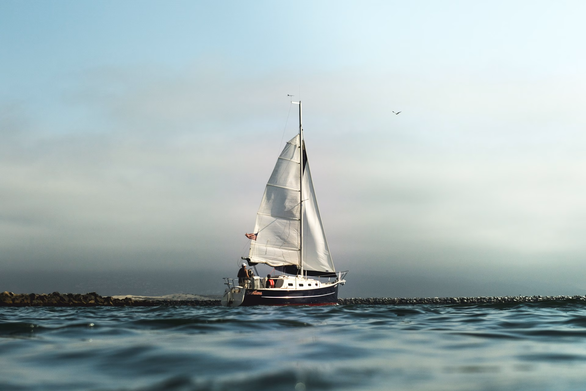 Setting Sail: Navigating the Business Seas with Reputation